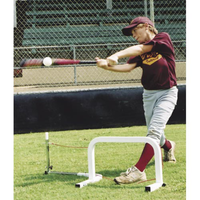 Swingbuster Hands Back Hitter