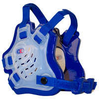 Cliff Keen F5 Tornado Headgear - Boys' Grade School - Clear / Blue