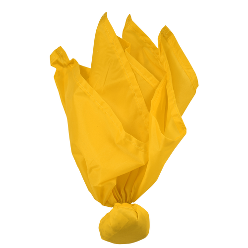 Athletic Specialties Umpire/Referee Flag Adult Football Sport