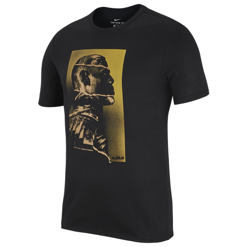 nike lebron championship shirt