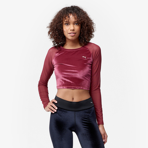 maroon velvet crop top