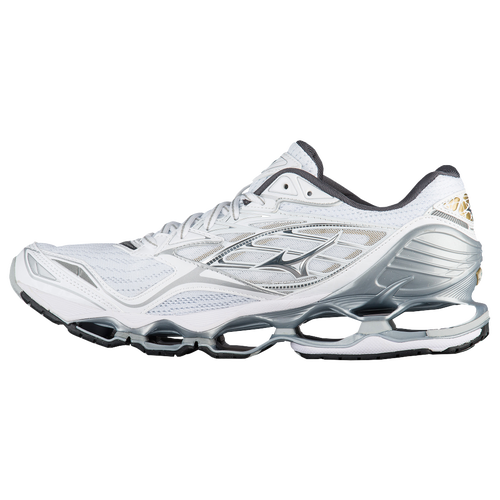 mizuno 6 wave prophecy