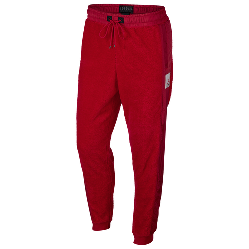 jordan sportswear wings of flight pants