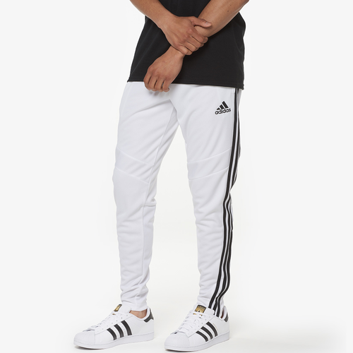 tiro 19 fit